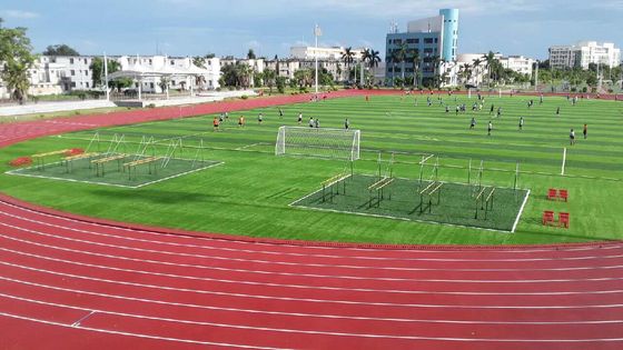 IAAF Certificated Polyurethane Track Surface For Running Race
